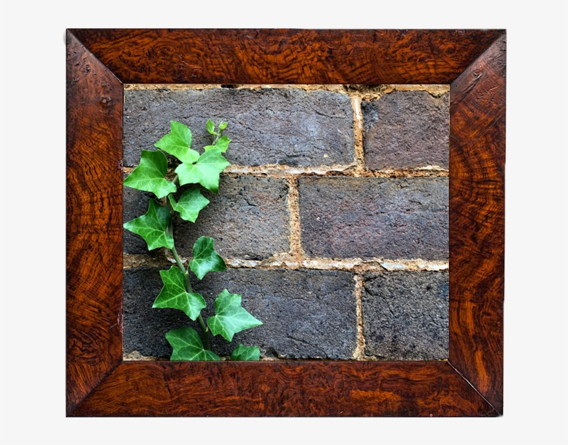 Wall, transparent png #8897059