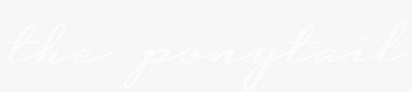 The Ponytail - Png Format Twitter Logo White, transparent png #8897093