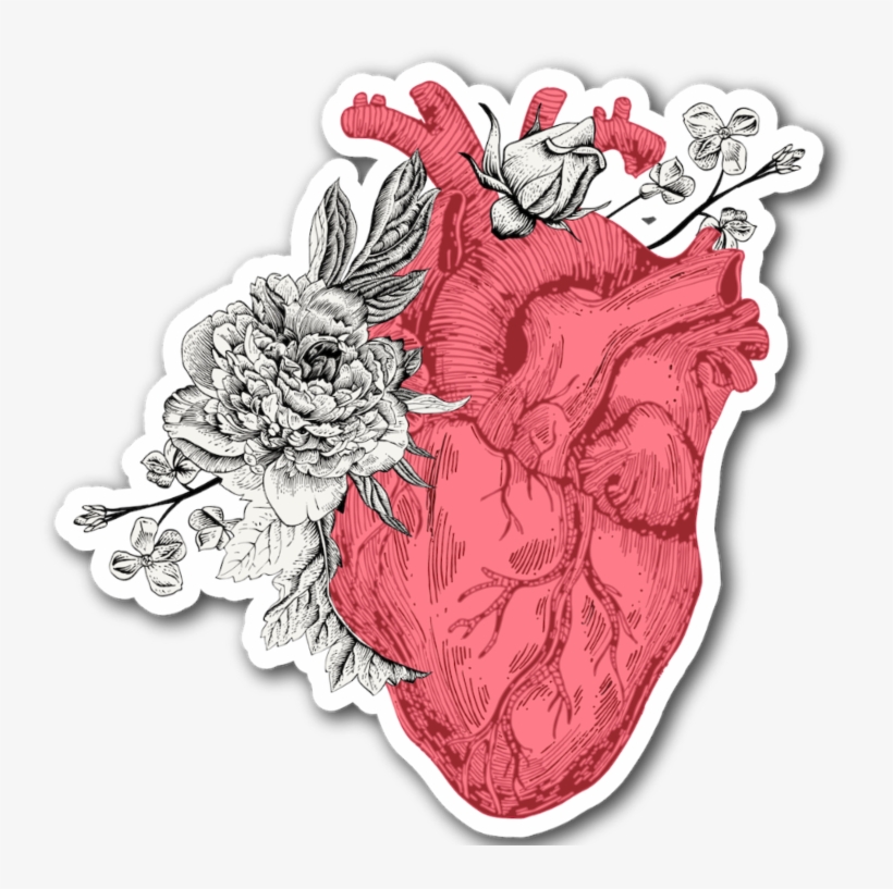 Anatomy Sticker - God, transparent png #8898337