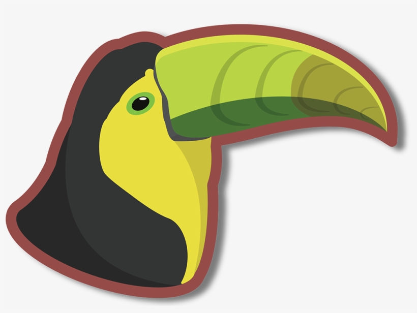 Toucan With Sheet Clipart , Png Download - Toucan, transparent png #8898585