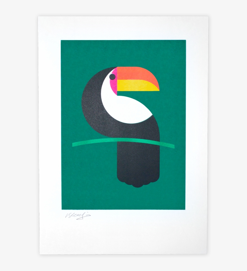 Toucan Print - Toucan, transparent png #8898739