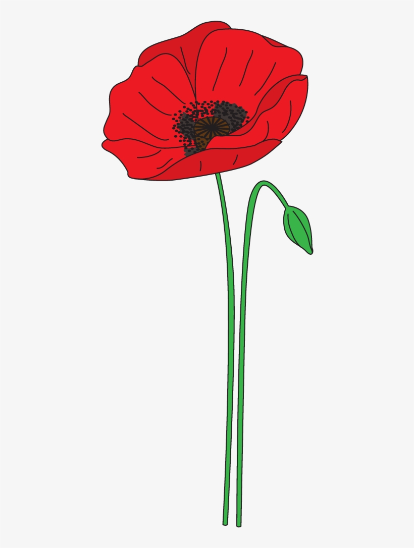 Poppy Jump Transparent Png - Anzac Day Poppy Clipart, transparent png #890386