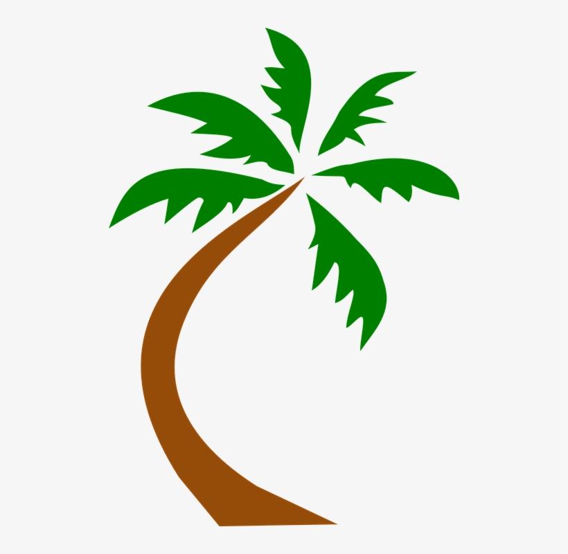 Coconut Palm Tree Curved - Palm Tree Leaning Clipart, transparent png #890475