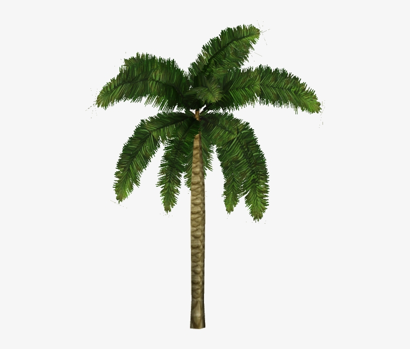 Coconut Palm - Zoo Tycoon 2 Trees Png, transparent png #890566