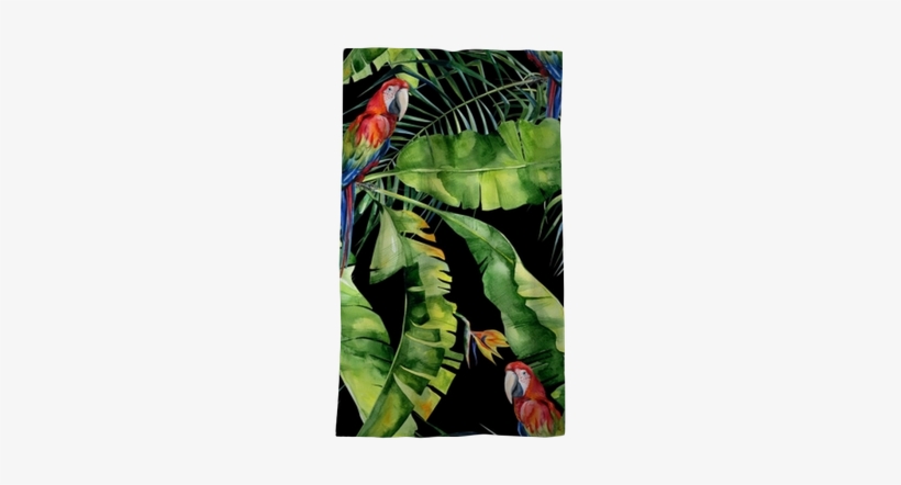 Scarlet Macaw Parrot - Obrazy Na Płótnie Tropical Papugi, transparent png #890604