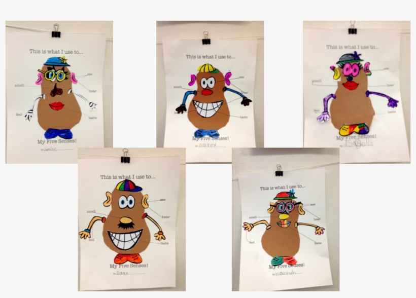 Picture - Mr Potato Head Senses Craft, transparent png #890904