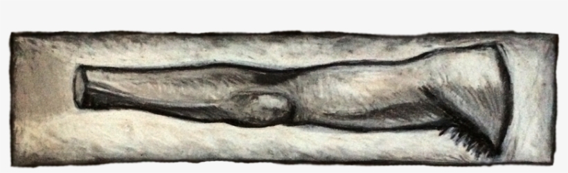 Picture - Driftwood, transparent png #890927