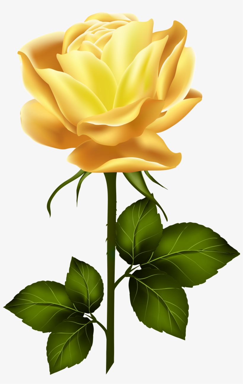 Clipart Roses Yellow Rose - Yellow Rose With Stem, transparent png #891772