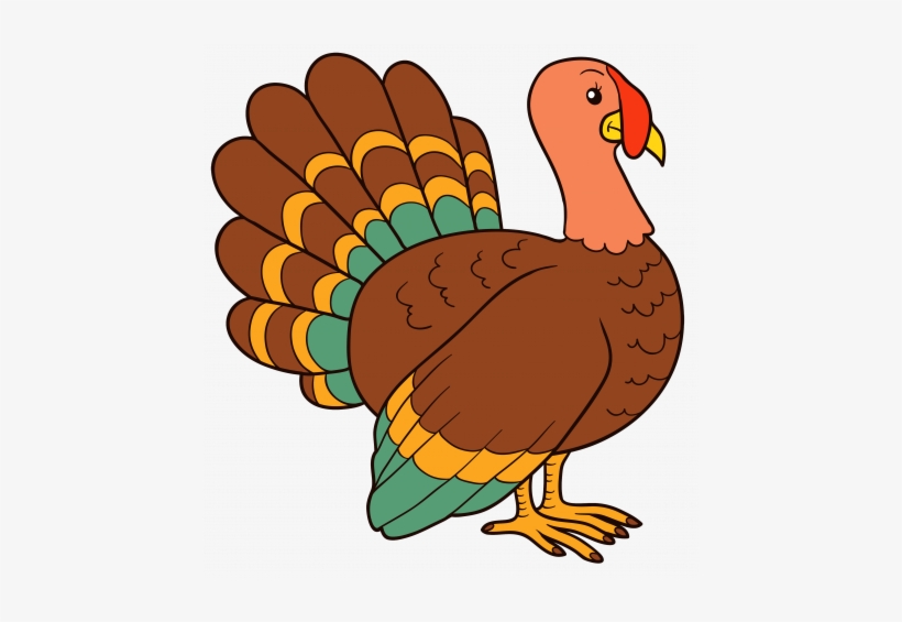 Turkeys Clipart - Turkey Png, transparent png #892268