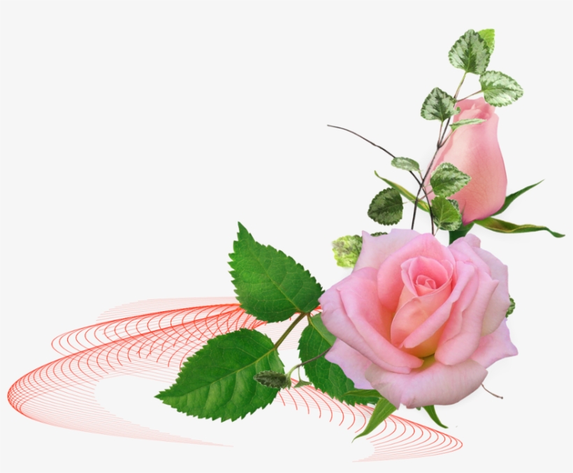 0 1a3f85 2d73e024 Orig - Amintiri Frumoase De Miercuri, transparent png #892749