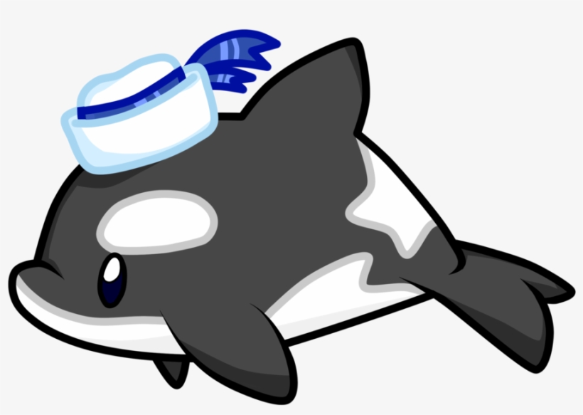 Collection Of Free Orca Drawing Cute Download On Ubisafe - Drawing, transparent png #892861