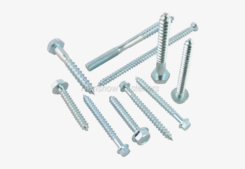 Wood Screw - Portable Network Graphics, transparent png #896076
