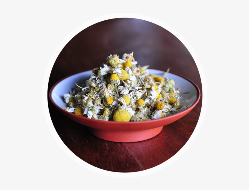 Chamomile Round, transparent png #896559