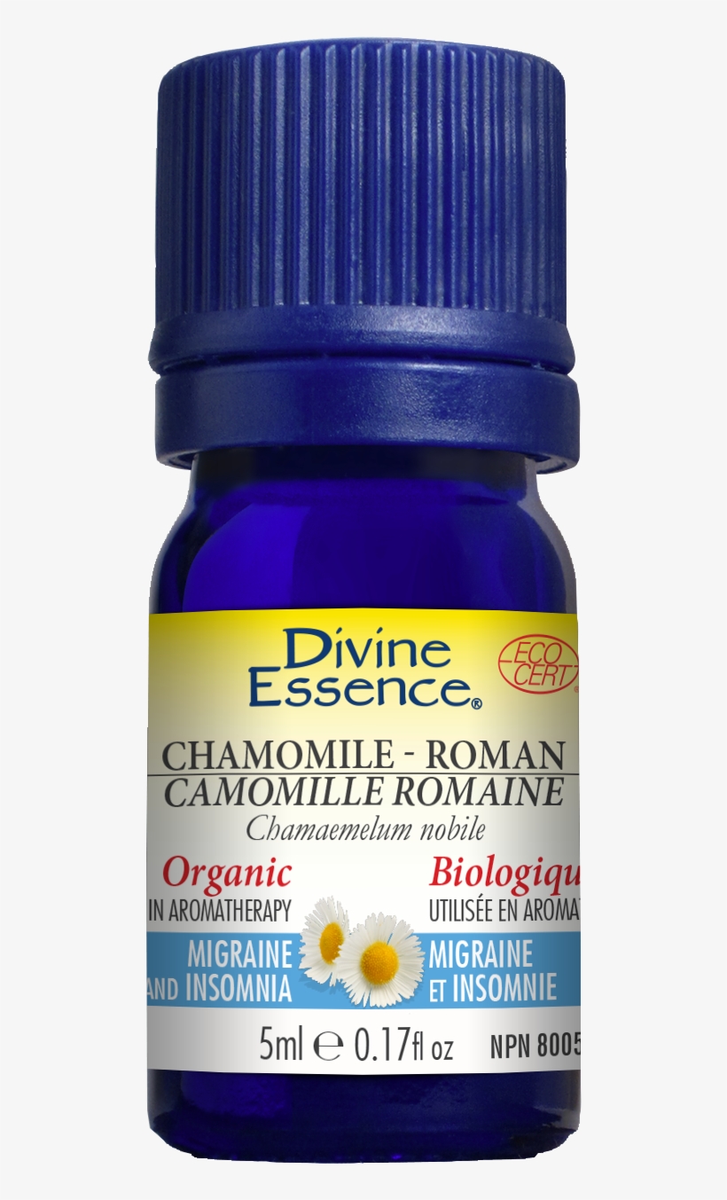 Share - Divine Essence Carrot Organic Essential Oil, transparent png #896610