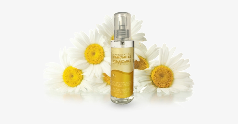 Chamomile Png Transparent Images - Herbal Distillate, transparent png #897049