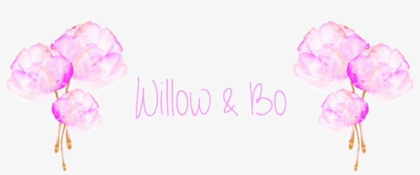 Carnation, transparent png #897259