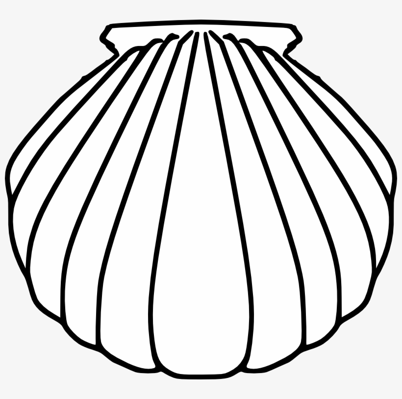 Shell Clipart Pilgrim - Baptismal Shell Clip Art, transparent png #897464