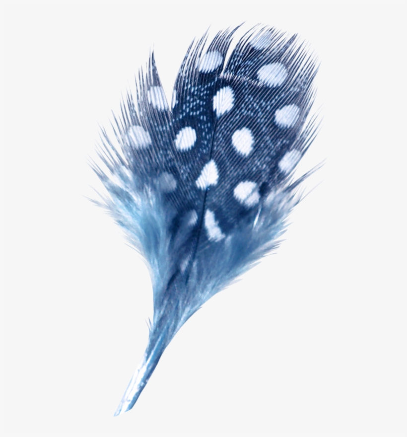 Fotki Feather Stencil, Feather Drawing, Feather Art, - Feather, transparent png #897941