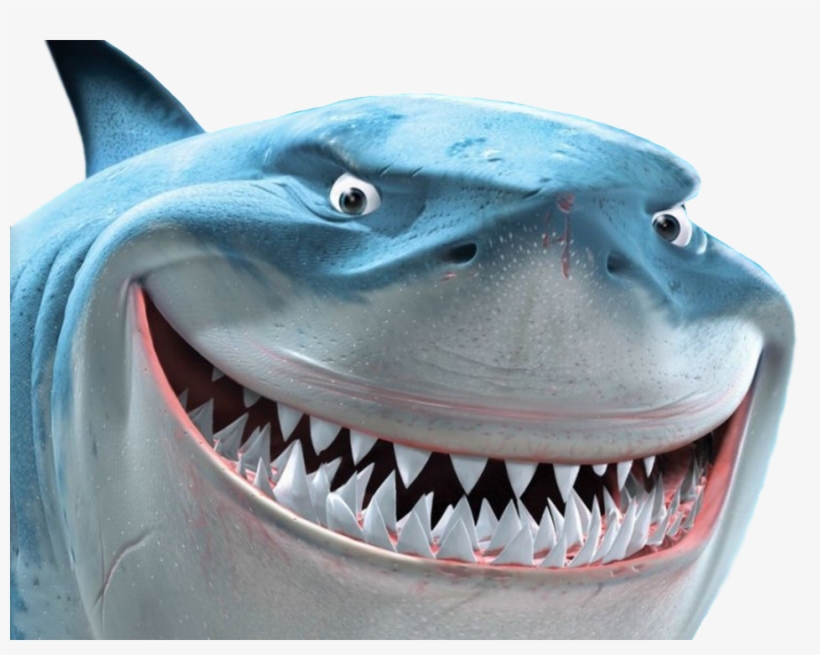 Clip Download Bruce By Captainjackharkness On Deviantart - Finding Nemo Characters Bruce, transparent png #898454