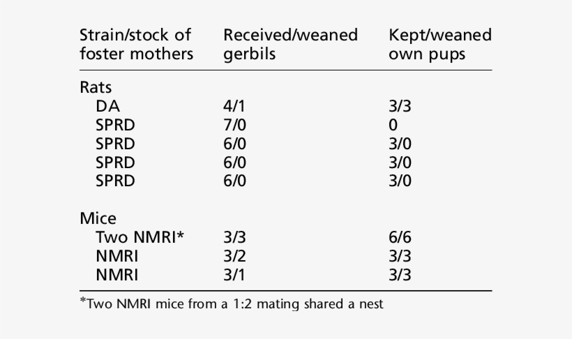 Results Of Fostering Gerbils To Rats And Mice - Number, transparent png #899642