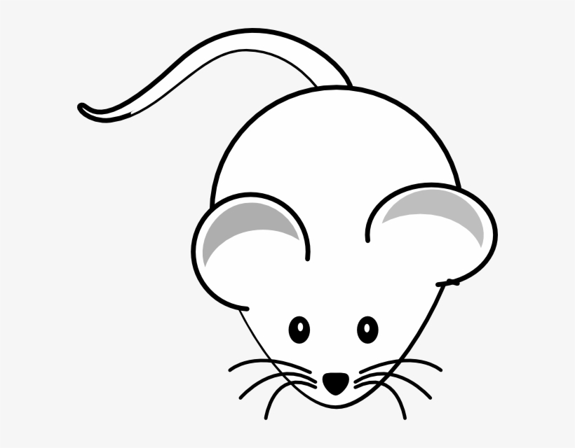 Small - White Mouse Black Background, transparent png #899964