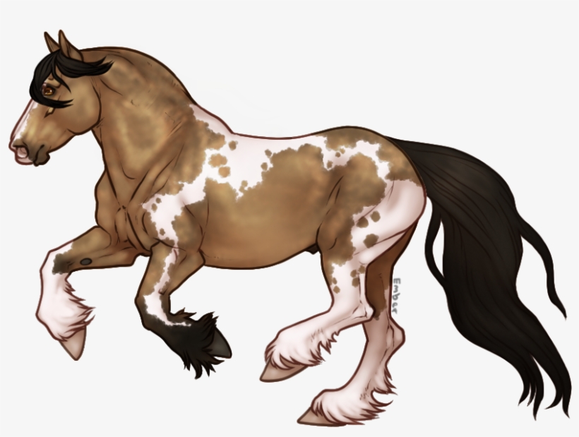 Seal Brown Tobiano, transparent png #8900918