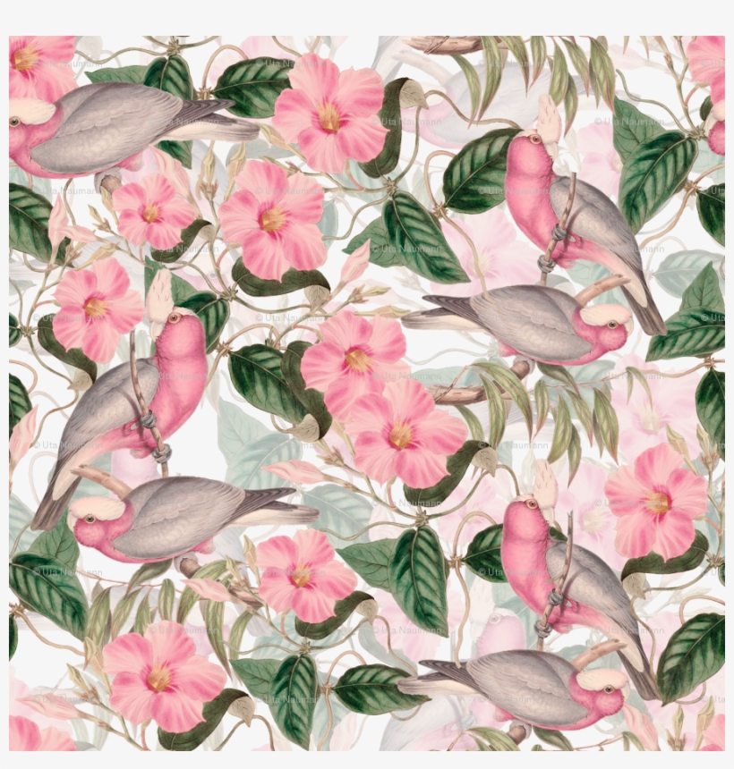 18 Victorian Blush Pink Watercolor Birds And Flowers Periwinkle Free Transparent Png Download Pngkey