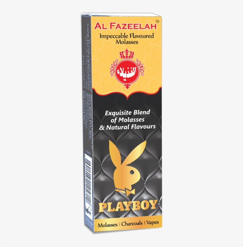 Domestic Rabbit, transparent png #8902035