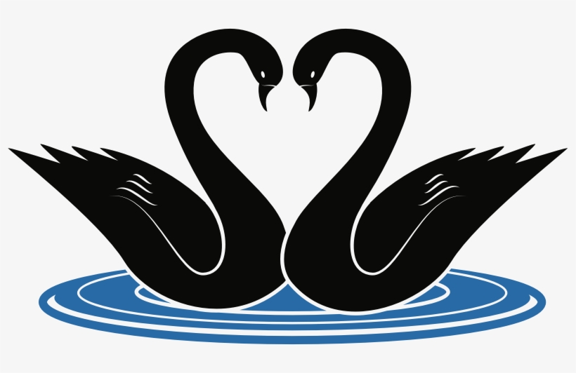 Medium Image - Clip Art Swans, transparent png #8903355