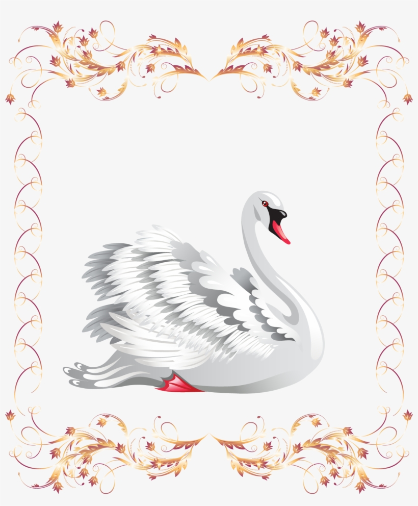 Banner Black Photography Clip Art Beautiful - Decoracion Con Cisnes, transparent png #8903939