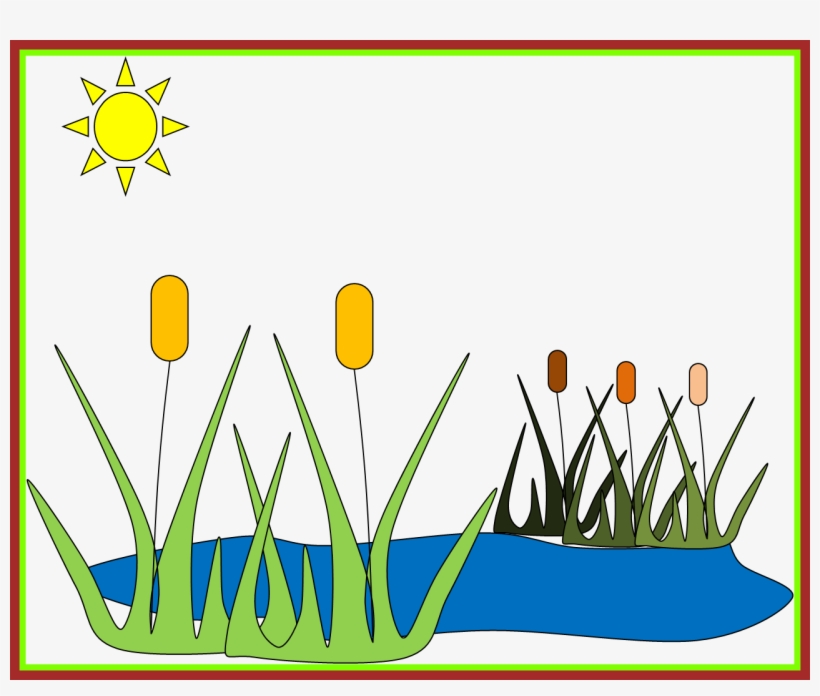 Awesome Fish Pond Cliparts Clip Art On Picture For - Pond Clip Art - Free Transparent PNG Download - PNGkey Awesome Fish Pond Cliparts Clip Art On Picture For - Pond Clip Art - Free Transparent PNG Download - PNGkey
