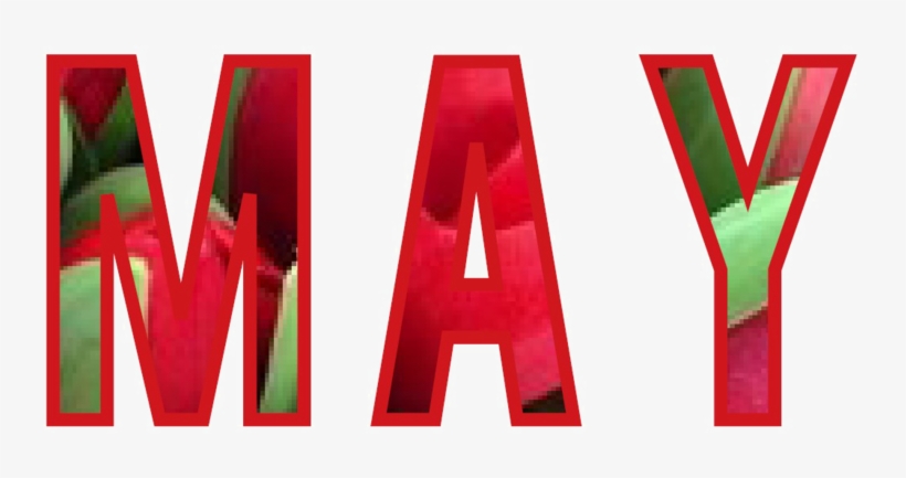 May Png Free Download - Graphic Design, transparent png #8905260