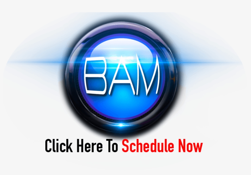Bam Button Schedule Now - Tierra De Sabor, transparent png #8906283