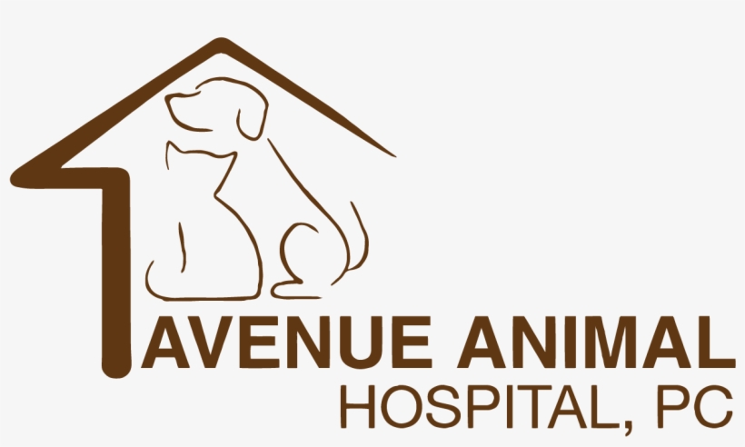 Avenue Animal Hospital, P - Bangkok Hospital, transparent png #8906370