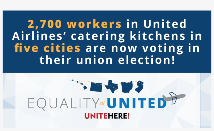 United Airlines Twitter - Graphic Design, transparent png #8906515