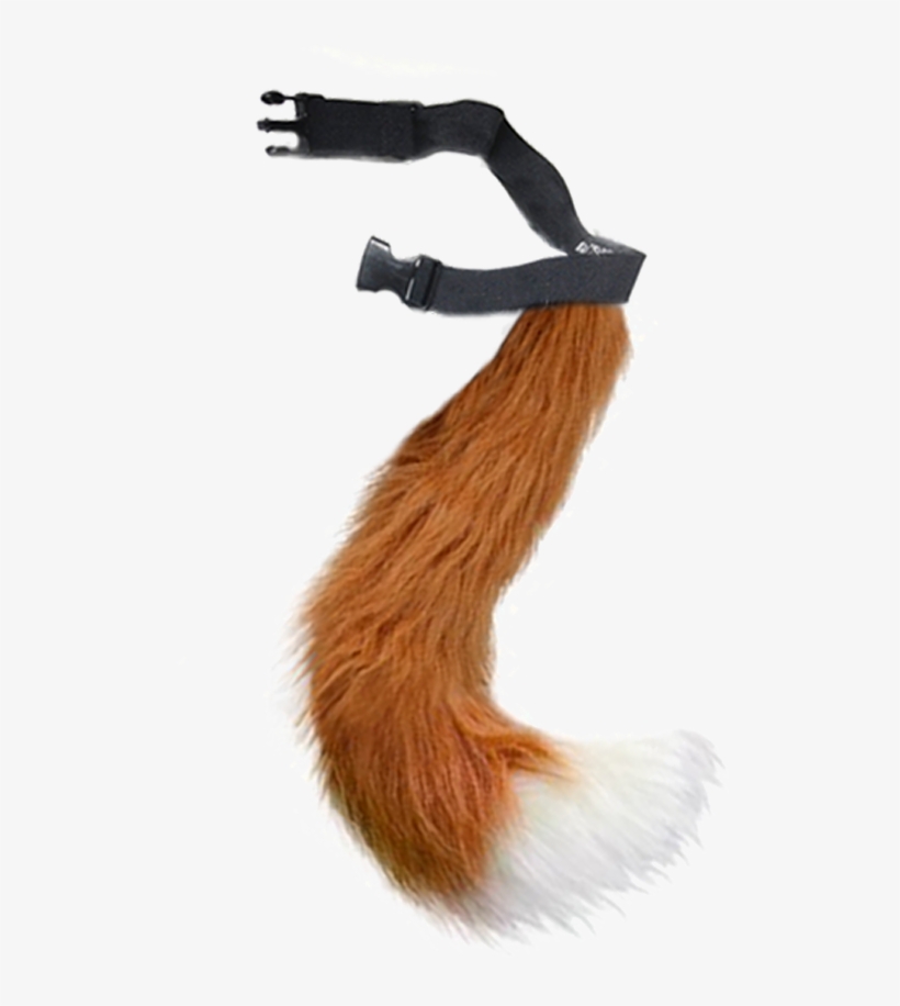 Fantastic Fox - Eurasian Red Squirrel, transparent png #8907183