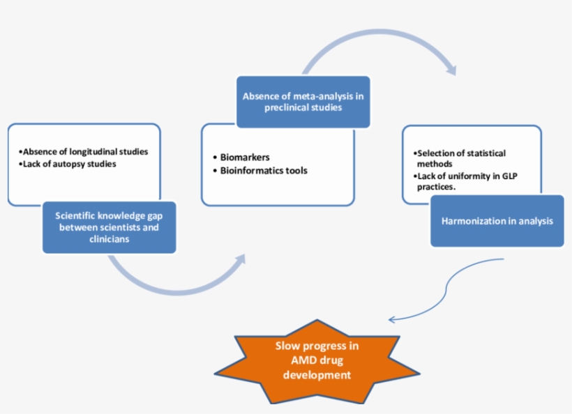 Schematic Representation Of Roadblocks In Amd Translation - Colorfulness, transparent png #8907261