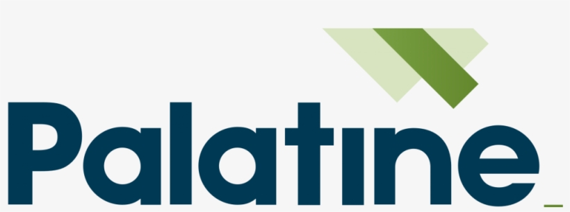 Palatine Impact Logo - Cross, transparent png #8907733