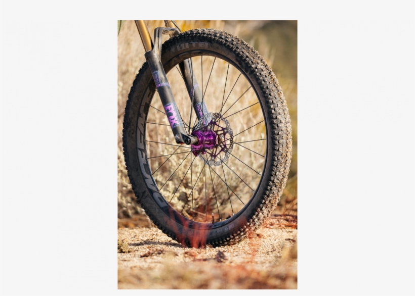 A Bike That Really Stands Out - Bicycle Tire, transparent png #8908603