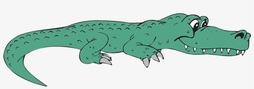 Alligator Transparent Background - Alligator Clip Art, transparent png #8909072