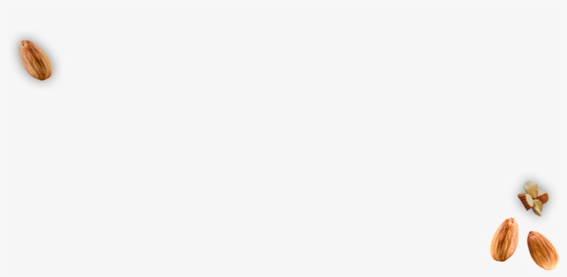 Lindsay & Almond Butter A Perfect Marriage - Sunflower Seed, transparent png #8909162