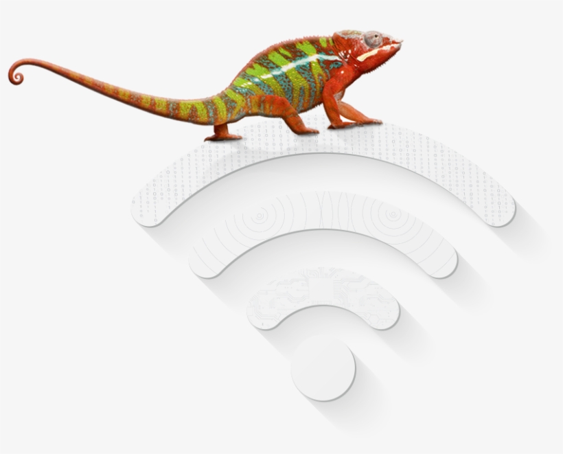 Chameleon-1 - Common Chameleon, transparent png #8909187