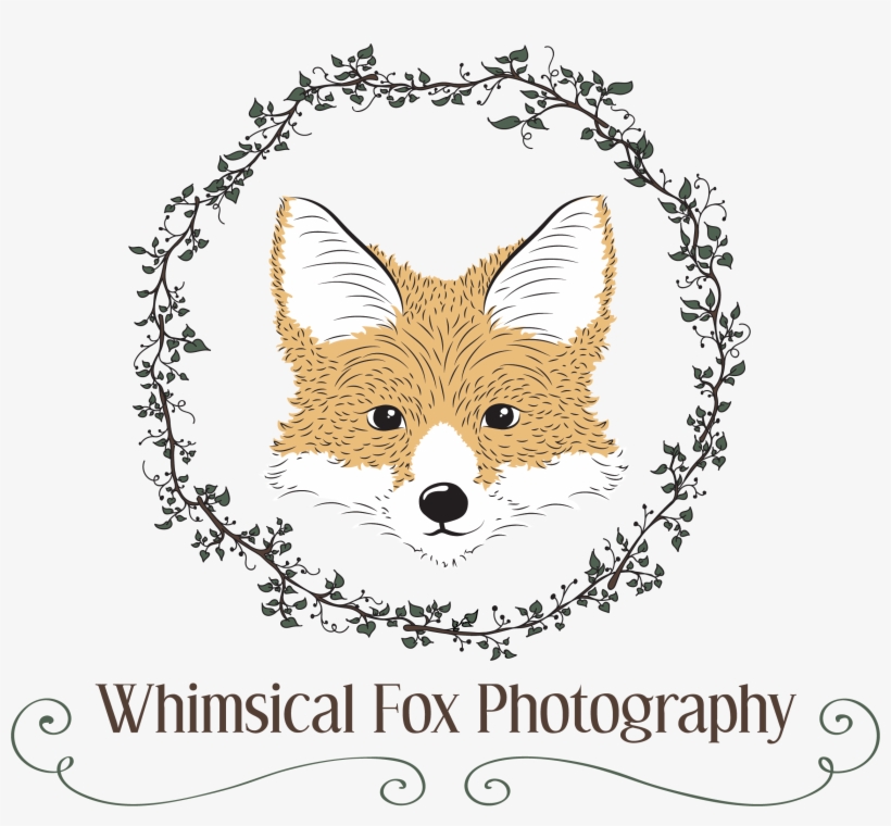 Red Fox, transparent png #8910161