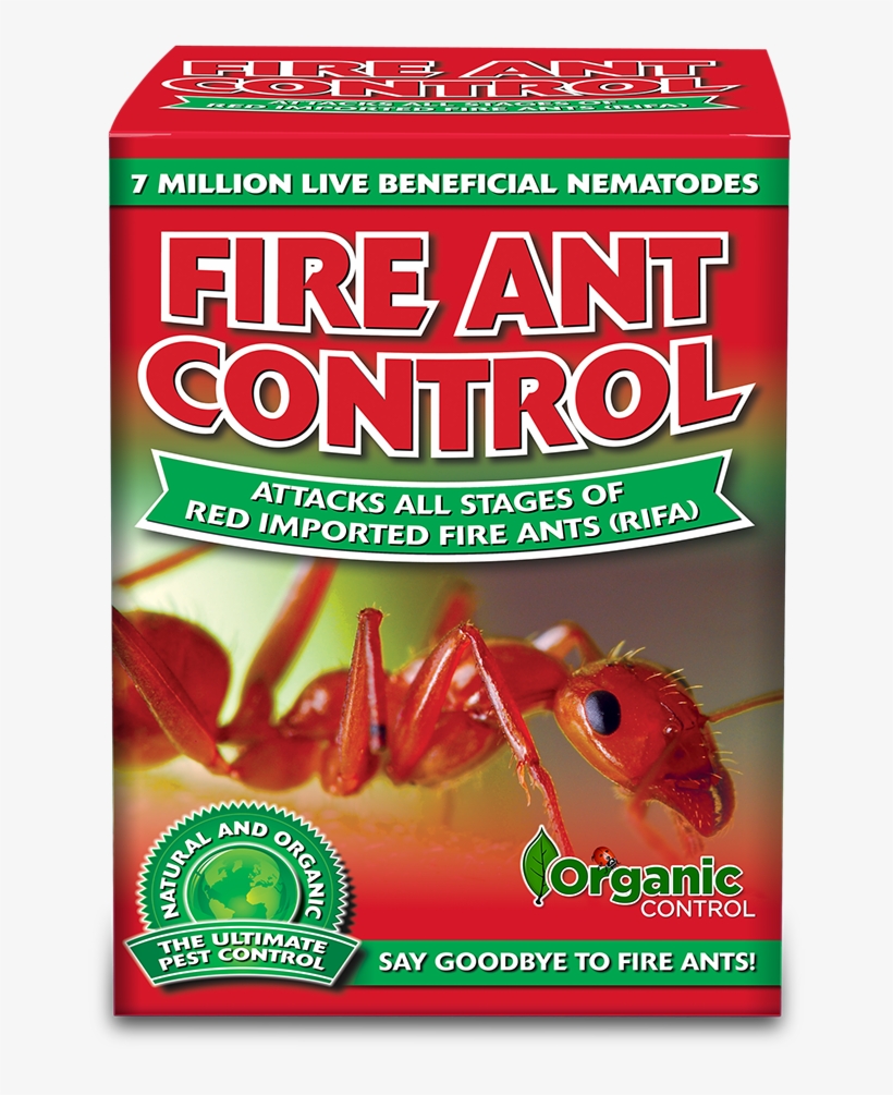 Note - Carpenter Ant, transparent png #8910813