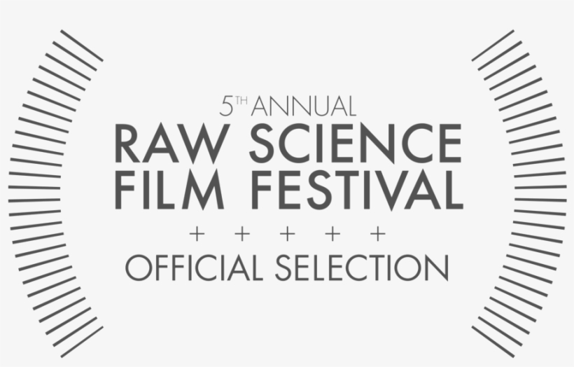 Rsff Laurels Selection Outline - Te Arawa, transparent png #8910845