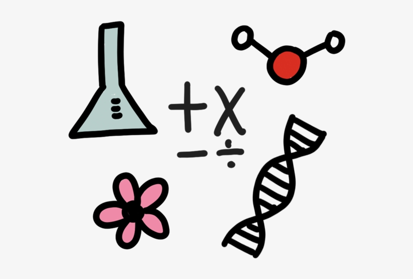 Creating Catapults And Building “earthquake-proof”, transparent png #8910964