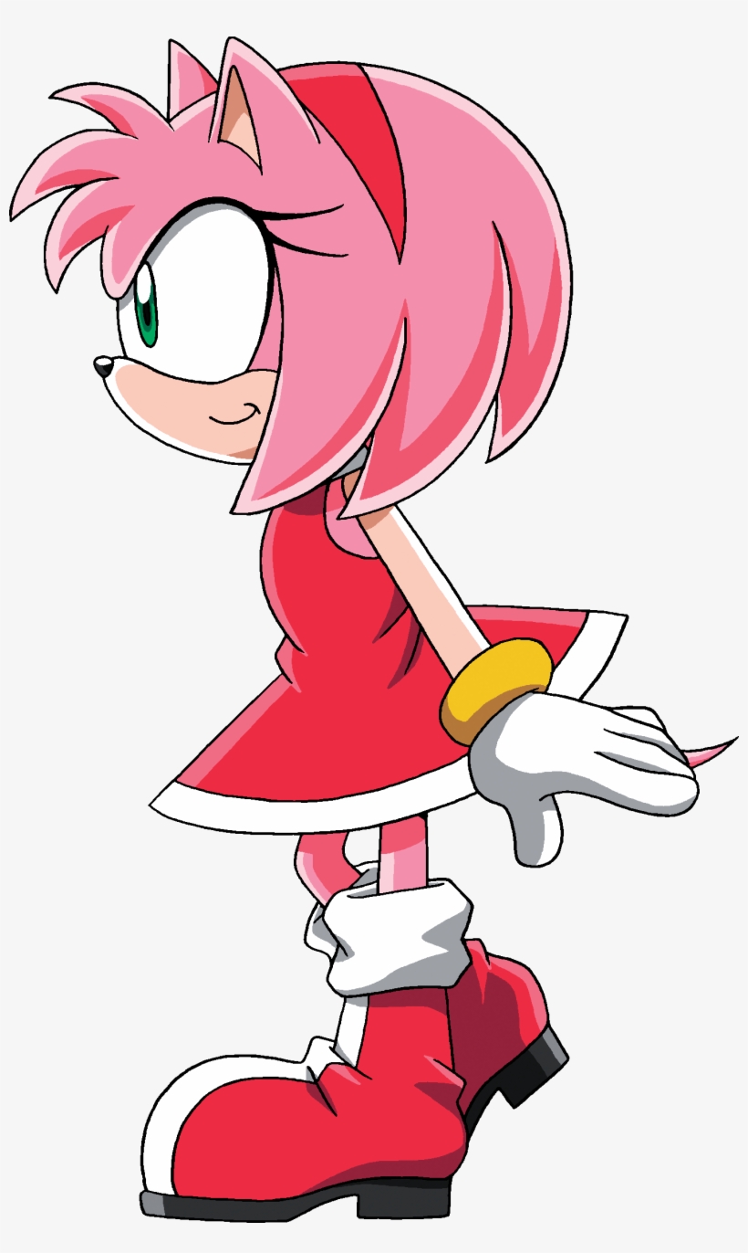 Sonic X Glance Left - Sonic X Amy Png, transparent png #8912892