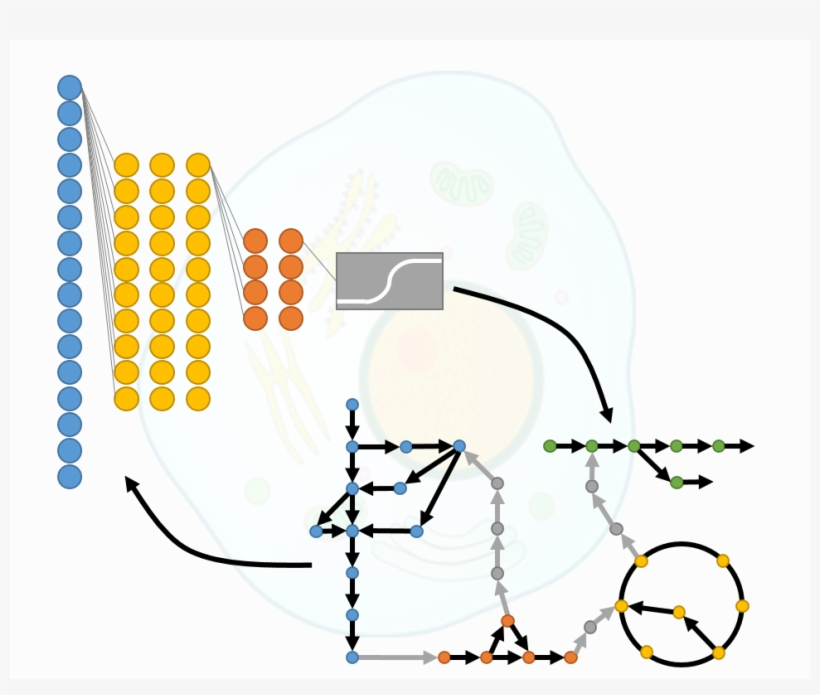 Generative Neural Networks For Characterization Of - Diagram, transparent png #8913348