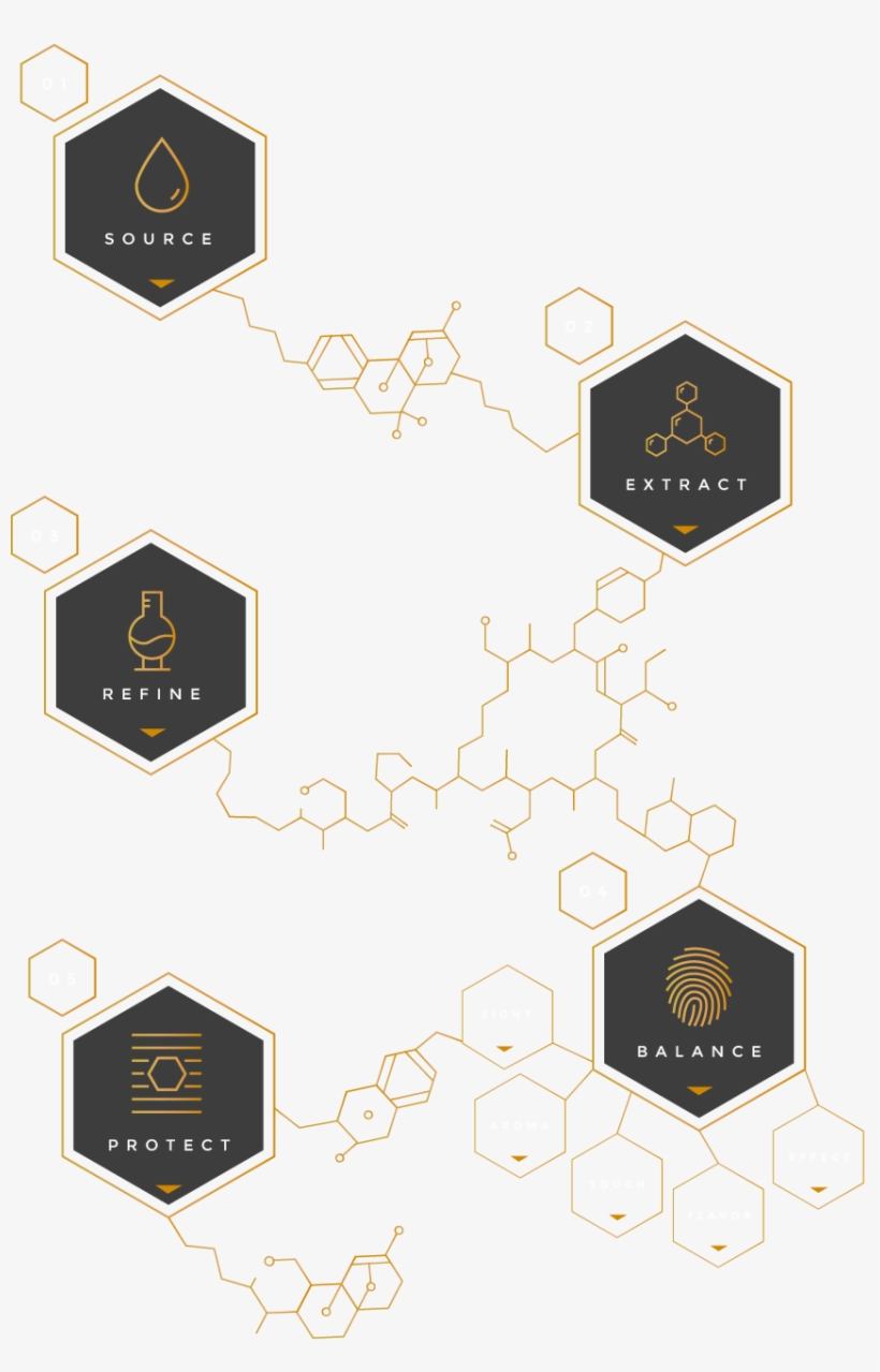 Goldmoon Home Infographic - Harmonic Table, transparent png #8913578