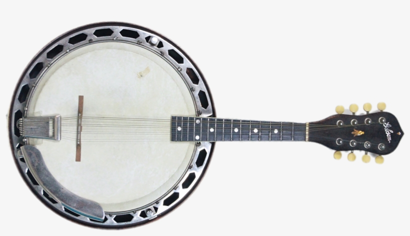 1930's Gibson Banjolin - Cümbüş, transparent png #8913947
